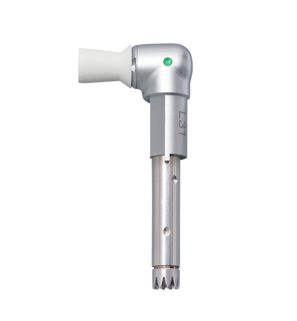 INTRA LUX heads        INTRA Prophy head L31
